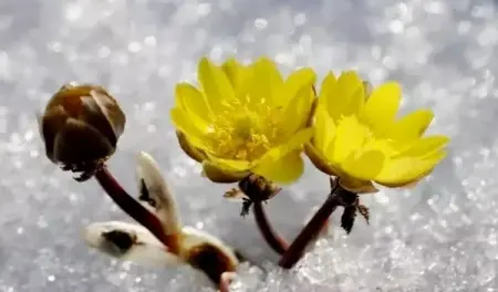 HYH RG
ProductService
8 people like this
Like Page