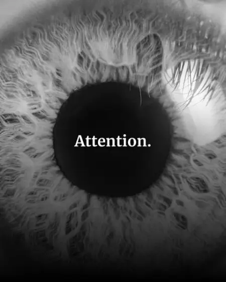 Together, we are focused on leveraging the power of our collective attention to positi