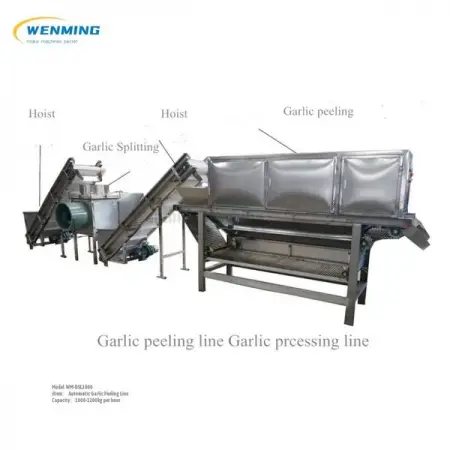 HTTPSWMMACHINERY.COMCOLLECTIONSGARLIC-PROCESS...
1000kg Automatic Garlic Peeling
Lear