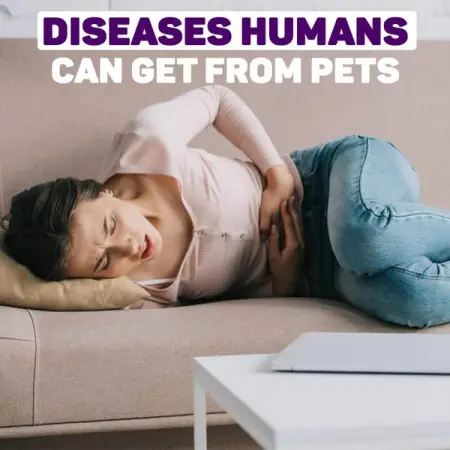 30 Diseases Humans Can Get From Pets
MEDICAL-NEWS.ORG
30 Diseases Humans Can Get From