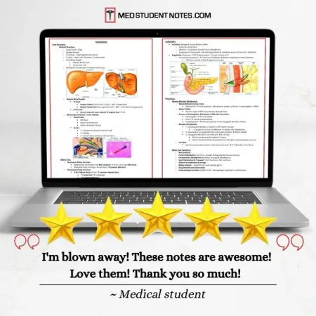 MEDSTUDENTNOTES.COM
These Notes Are Awesome!
Eliminate Burnout
Shop Now
Eliminate Burnout
