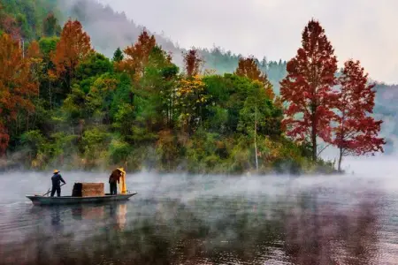 Where to find this wonderland?
Glamorous Lingnan
News  media website
1,329,814 