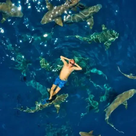 From mind-boggling birds-eye views to death-defying heights, here are so