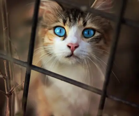 Pensez-vous que ses yeux sont naturels?
Jennydia
Productservice
5,977 people l