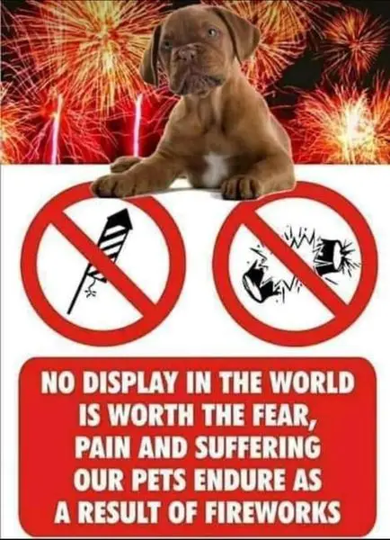 Fireworks Laws in South Africa

Fireworks may not be set off in any public place. This inclu