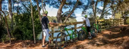 RIVERSIDEADVENTURES.CO.NZ
Half Day Karpiro Bike Tour
Book Now
 