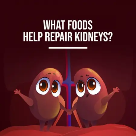 15 Foods That Will Revitalize Kidneys Functionality Promptly
MEDICAL-NEWS.ORG
15 Foo