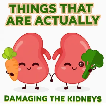 20 Things That Are Actually Damaging The Kidneys
MEDICAL-NEWS.ORG
20 Things That Are Actu