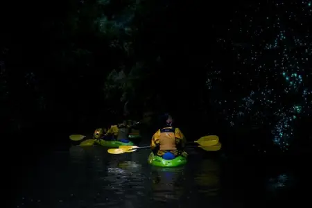RIVERSIDEADVENTURES.CO.NZ
Twilight Kayak Glowworm Tour
Book Now
 