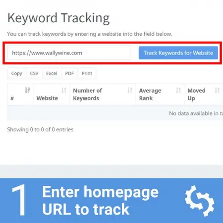 This can be your website or even a competitor
Looking for the best SEO Audit Tool to analy