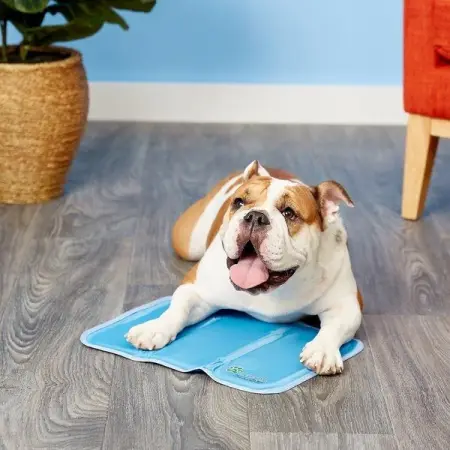 Cute dog
Jinxiang-01
Business
36 people like this
Like Page