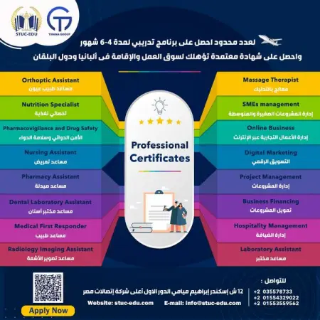         -     

            Professional Certificate     4 - 6              -  