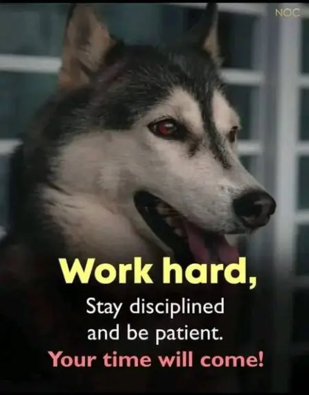 Decency
Send WhatsApp Message