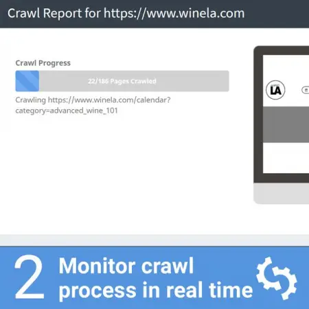 See the crawl process in real time
Looking for the best SEO Audit Tool to analyze and gra