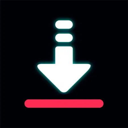 PLAY.GOOGLE.COM
Downloader for All Videos
Video DownloaderVideo Photo Story Saver