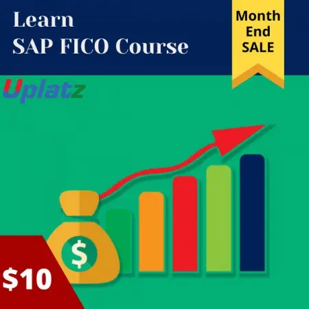 SAP FICO Video Course
Book Now
Lifetime Access to the course