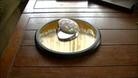 This is an Eulers Disk, named after Leonhard Euler, its like a spinning coin that conti