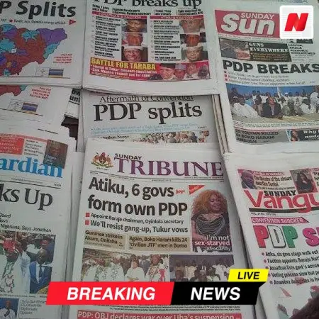 Nigerians Should Be Allowed To Carry Guns, Weapons For Protection 11 Ar