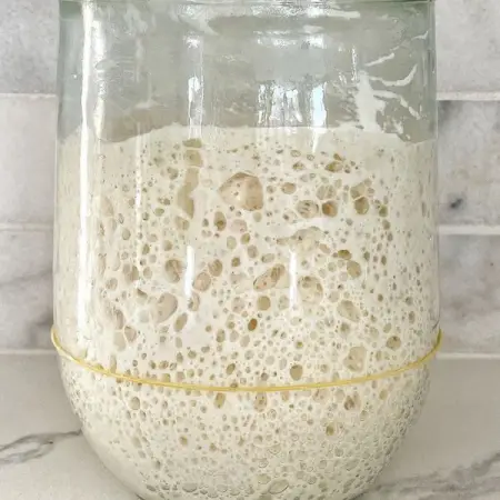 Ready to make some fantastic bread? We can help! SUPER ACTIVE Sourdough Starter sent 