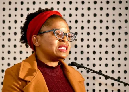 A Gupta-tainted minister is proposing a giant IT contract that will ma