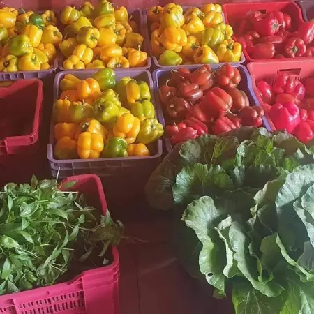 FOUNDED 2014 ,MISSION Taking you to the next step ,We supply the next technology 