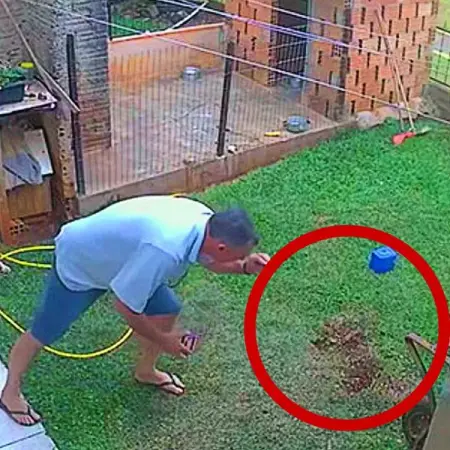 Despus de que John Sims se mudara a su nuevo hogar en Tucson, Arizona, tena una sen