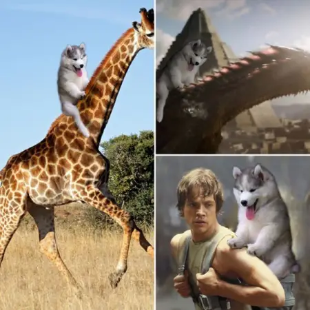 This creative artist took the time to make hilarious Photoshop creations using 