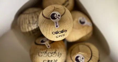 GAUS est une entreprise de prestation de service qui fait dans le marketing numrique, conc