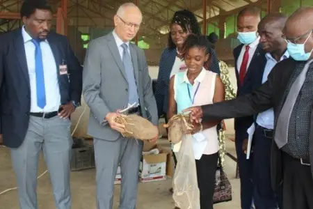 THE AU COMMISSIONER ESTI PAYS A COURTESY VISIT TO IITA

httpspau-au.africanews-event