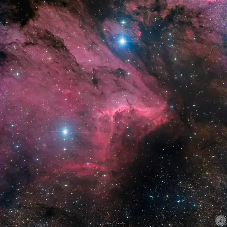 My Image of the pelican Nebula was featured today on Astronomias APOD Astrono