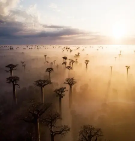 Chief Economist and Advisory Partner at Citadel, Maarten Ackerman, unpack