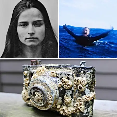 After a man named Sebastian Jones uncovered a camera in the ocean off the coast o
