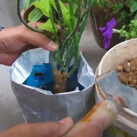 Haz un buen uso de las bolsas de plstico y mantenlas fuera de los vertederos co