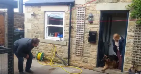 I could watch this over and over 