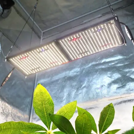 Meijiu 240 Watt QB Grow lights - ZAR4,200.00

httpswww.meijiu-za.comcollectio