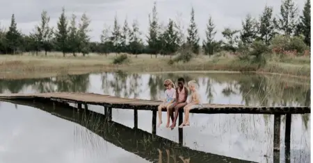 South Africas ever-changing and oftentimes controversial government education policy a