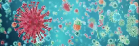 Webcast name Novel data collection strategies for todays infectious disease research
