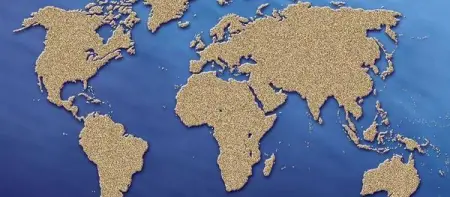 I need to go back to school