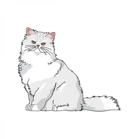 MINDTHEGRAPH.COMVETERINARY
Cat persian white
Learn More
 
