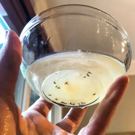 The last thing you want to do after a long day at work is cook dinner. The fact th