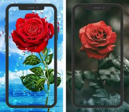 PLAY.GOOGLE.COM
Free download with vpn
We provide an unlimited proxy service wi