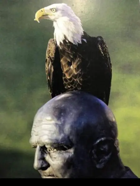 Listen
Im not here to deceive the world on what is not obtainable to me.
It wo