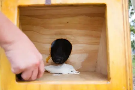 Spots are filling up quick for our first Nose Skills for Pets class starti