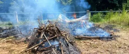 Six years ago, Luizinha de Nan was forcibly evicted from her community perp