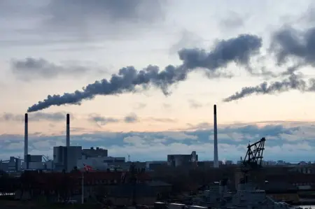 An international team of researchers estimated that the world saw 8.8 per cent less ca