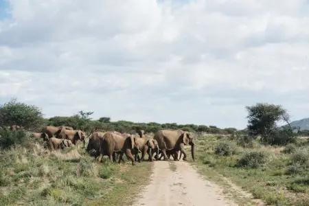 Erindi Private Game Reserve is a protected reserve in Namibia. We are 