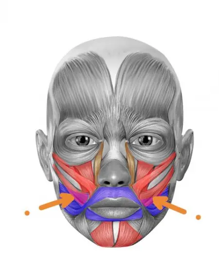 Want to drop 3 years in just 5 minutes a day? Try the 1 Face Exercise App for iPhone!