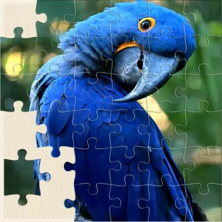 Solve Jigsaw Puzzles on your phone 
PLAY.GOOGLE.COM
Free on Google Play
Realisti