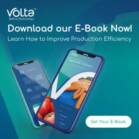 We are thrilled to share our brand new E-book, Solutions for the Veget