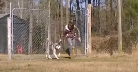 Ok, Im crying. This is so beautiful to watch.